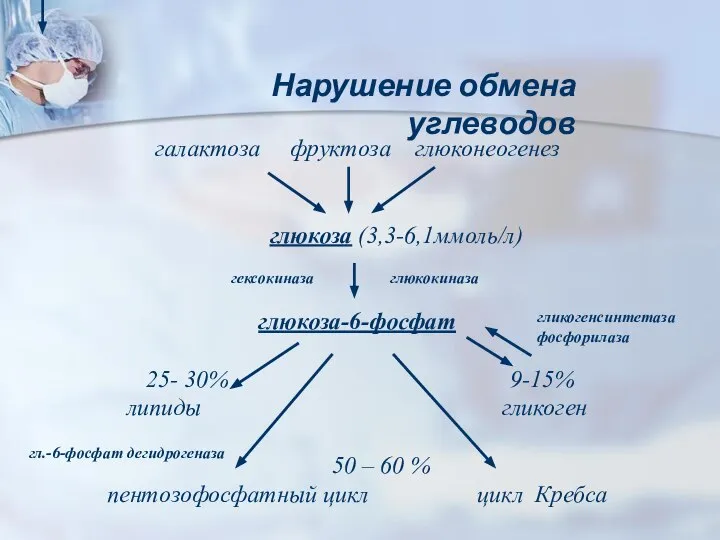 Нарушение обмена углеводов галактоза фруктоза глюконеогенез глюкоза (3,3-6,1ммоль/л) глюкоза-6-фосфат 25- 30%