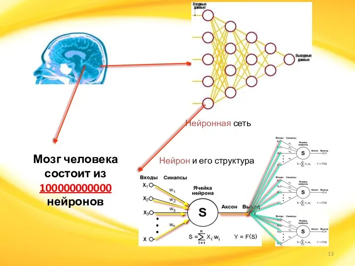 Нейронная сеть Нейрон и его структура Мозг человека состоит из 100000000000 нейронов