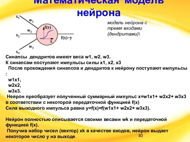 Математическая модель нейрона Синапсы дендритов имеют веса w1, w2, w3. К