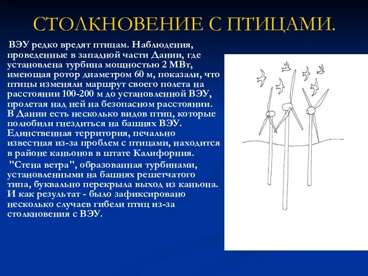 СТОЛКНОВЕНИЕ С ПТИЦАМИ. ВЭУ редко вредят птицам. Наблюдения, проведенные в западной