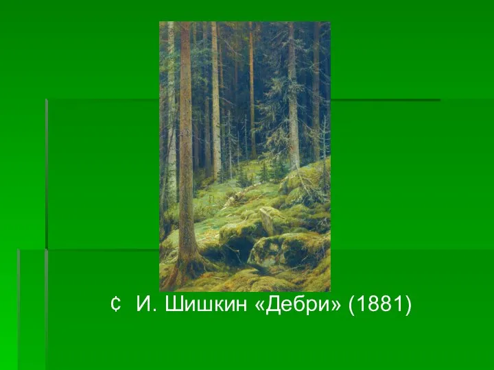 И. Шишкин «Дебри» (1881)