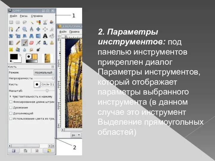 2. Параметры инструментов: под панелью инструментов прикреплен диалог Параметры инструментов, который