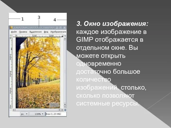 3. Окно изображения: каждое изображение в GIMP отображается в отдельном окне.