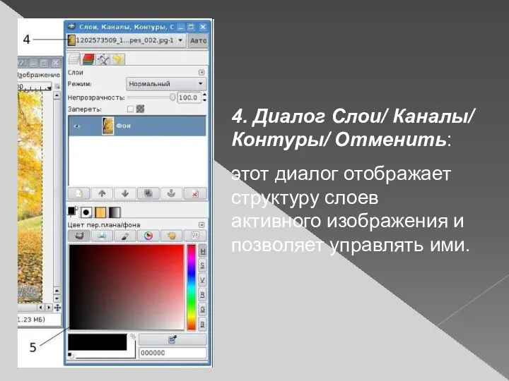 4. Диалог Слои/ Каналы/ Контуры/ Отменить: этот диалог отображает структуру слоев