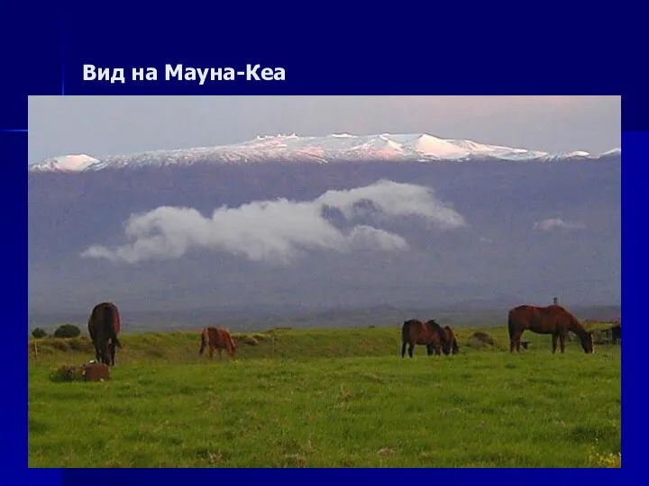Вид на Мауна-Кеа