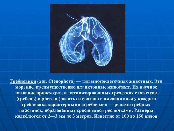 Гребневики (лат. Ctenophora) — тип многоклеточных животных. Это морские, преимущественно планктонные