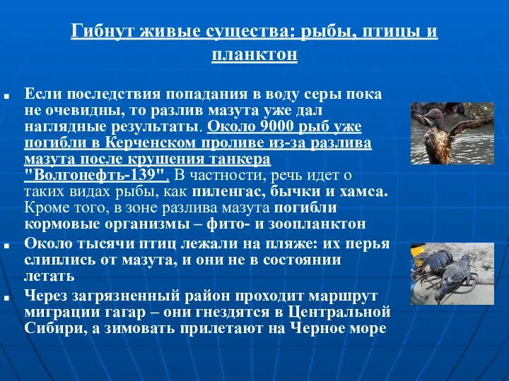 Гибнут живые существа: рыбы, птицы и планктон Если последствия попадания в