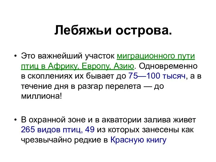 Лебяжьи острова. Это важнейший участок миграционного пути птиц в Африку, Европу,