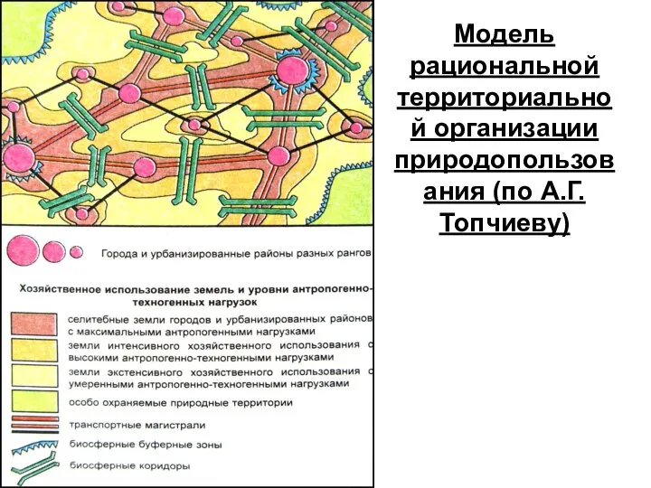 Модель рациональной территориальной организации природопользования (по А.Г.Топчиеву)