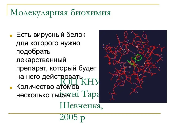 ІОЦ КНУ імені Тараса Шевченка, 2005 р Молекулярная биохимия Есть вирусный