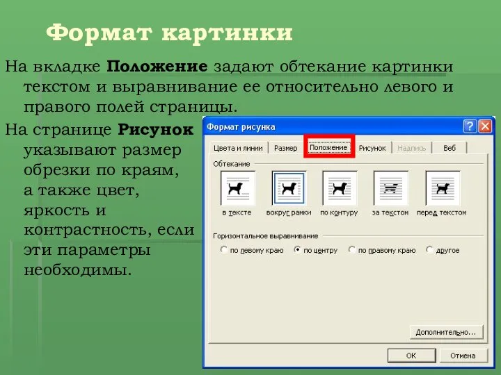 Формат картинки На вкладке Положение задают обтекание картинки текстом и выравнивание