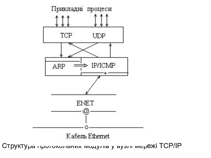 Структура протокольних модулів у вузлі мережі TCP/IP