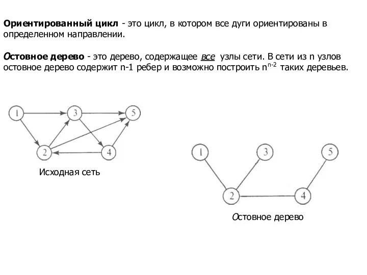 Ориентированный цикл - это цикл, в котором все дуги ориентированы в