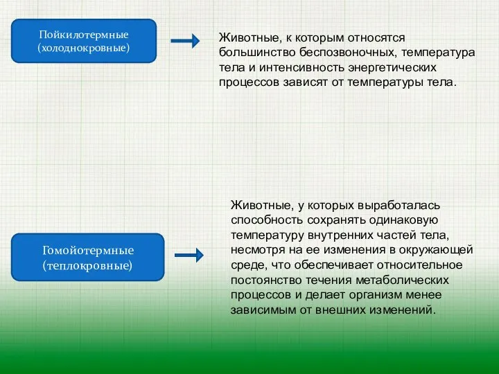 Пойкилотермные (холоднокровные) Гомойотермные (теплокровные) Животные, к которым относятся большинство беспозвоночных, температура