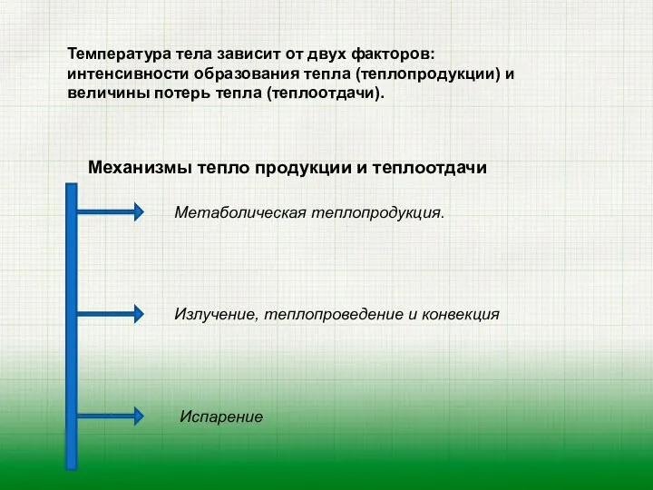 Температура тела зависит от двух факторов: интенсивности образования тепла (теплопродукции) и