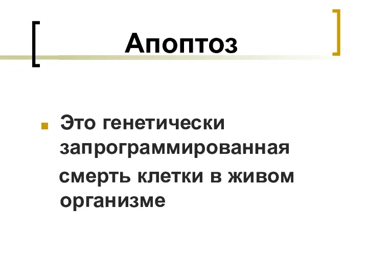 Апоптоз Это генетически запрограммированная смерть клетки в живом организме