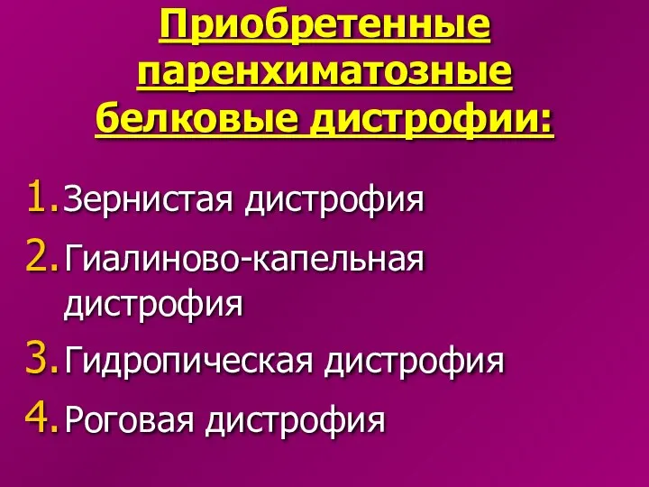 Приобретенные паренхиматозные белковые дистрофии: Зернистая дистрофия Гиалиново-капельная дистрофия Гидропическая дистрофия Роговая дистрофия