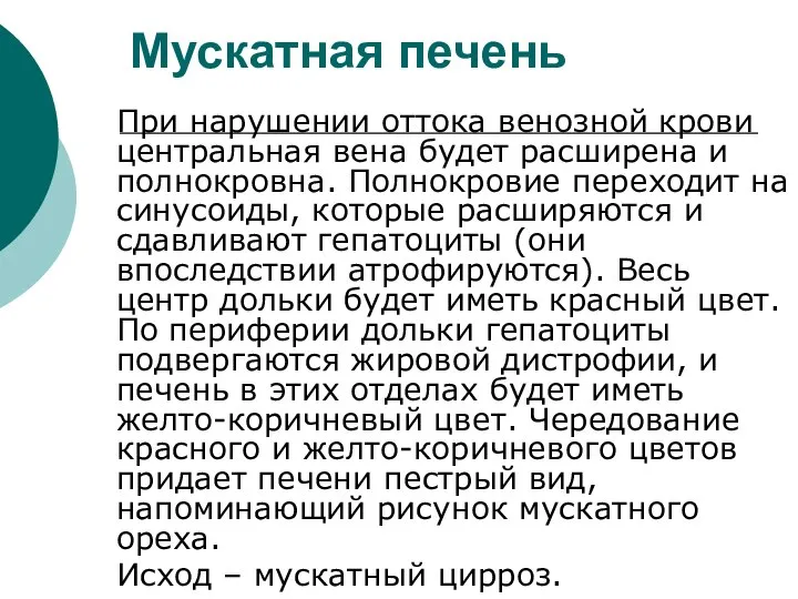 Мускатная печень При нарушении оттока венозной крови центральная вена будет расширена