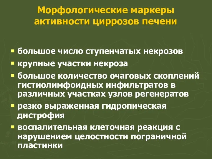 Морфологические маркеры активности циррозов печени большое число ступенчатых некрозов крупные участки