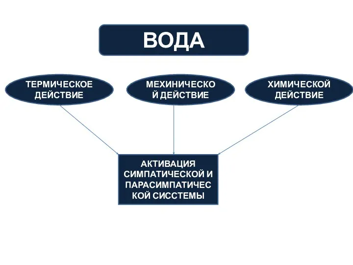 ВОДА ТЕРМИЧЕСКОЕ ДЕЙСТВИЕ МЕХИНИЧЕСКОЙ ДЕЙСТВИЕ ХИМИЧЕСКОЙ ДЕЙСТВИЕ АКТИВАЦИЯ СИМПАТИЧЕСКОЙ И ПАРАСИМПАТИЧЕСКОЙ СИССТЕМЫ