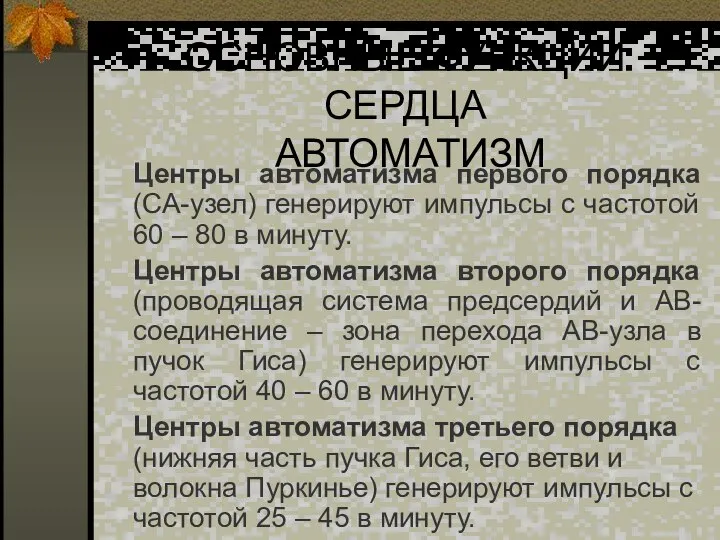 ОСНОВНЫЕ ФУНКЦИИ СЕРДЦА АВТОМАТИЗМ Центры автоматизма первого порядка (СА-узел) генерируют импульсы