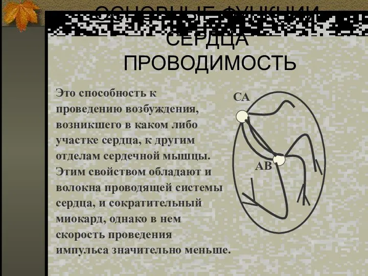 ОСНОВНЫЕ ФУНКЦИИ СЕРДЦА ПРОВОДИМОСТЬ Это способность к проведению возбуждения, возникшего в