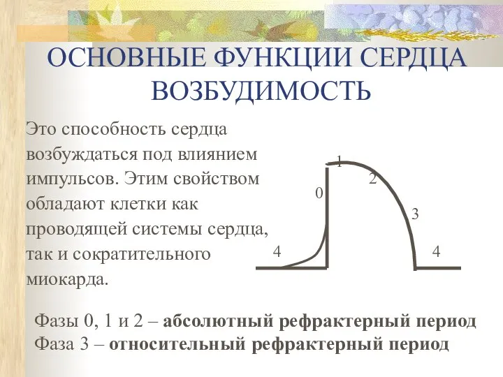 ОСНОВНЫЕ ФУНКЦИИ СЕРДЦА ВОЗБУДИМОСТЬ Это способность сердца возбуждаться под влиянием импульсов.