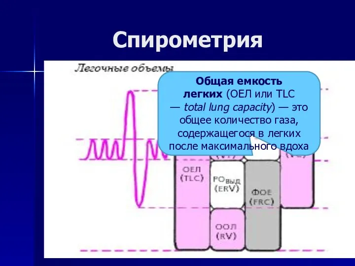 Спирометрия Общая емкость легких (ОЕЛ или TLC — total lung capacity)