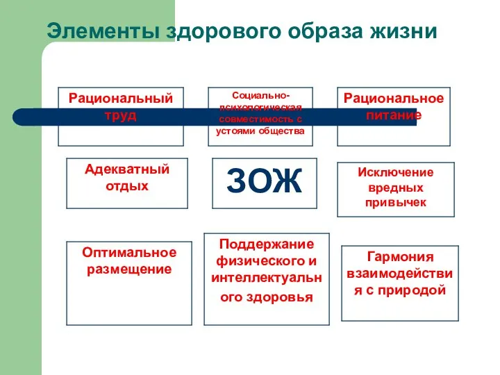 Элементы здорового образа жизни