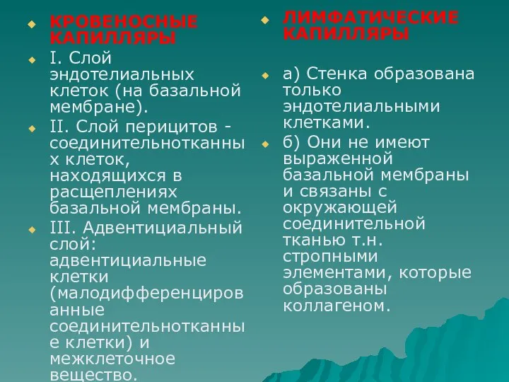 КРОВЕНОСНЫЕ КАПИЛЛЯРЫ I. Слой эндотелиальных клеток (на базальной мембране). II. Слой