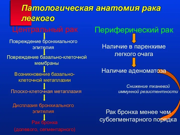 Патологическая анатомия рака легкого Центральный рак Периферический рак Повреждение бронхиального эпителия