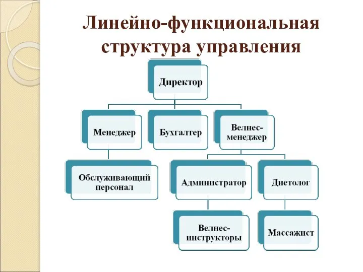 Линейно-функциональная структура управления