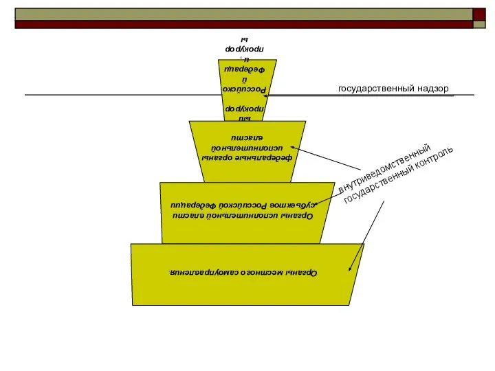 государственный надзор внутриведомственный государственный контроль
