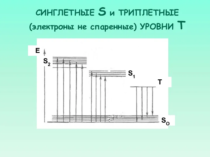 СИНГЛЕТНЫЕ S и ТРИПЛЕТНЫЕ (электроны не спаренные) УРОВНИ Т S2 S1 SO Т Е