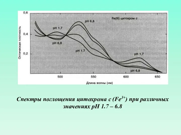 Спектры поглощения цитохрома с (Fe3+) при различных значениях рН 1.7 – 6.8