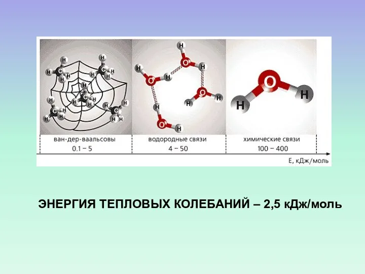 ЭНЕРГИЯ ТЕПЛОВЫХ КОЛЕБАНИЙ – 2,5 кДж/моль