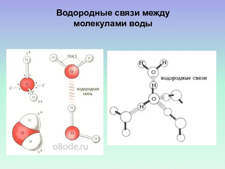 Водородные связи между молекулами воды