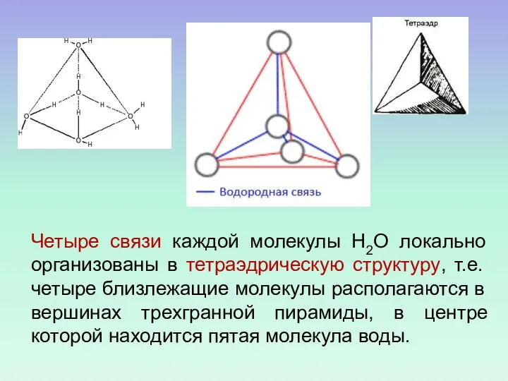 Четыре связи каждой молекулы Н2О локально организованы в тетраэдрическую структуру, т.е.