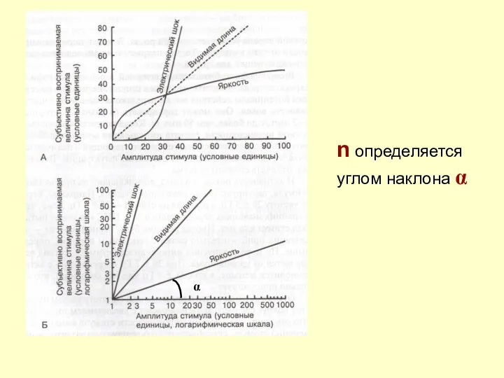 n определяется углом наклона α