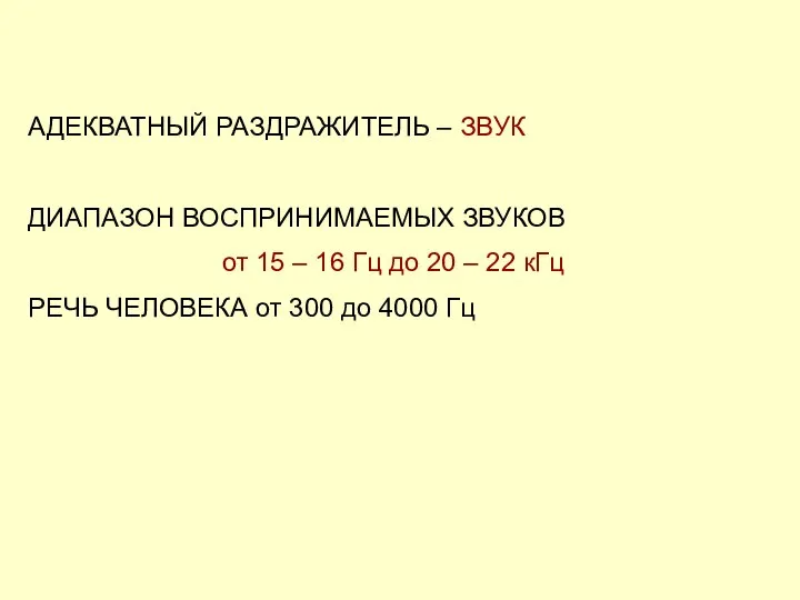 АДЕКВАТНЫЙ РАЗДРАЖИТЕЛЬ – ЗВУК ДИАПАЗОН ВОСПРИНИМАЕМЫХ ЗВУКОВ от 15 – 16