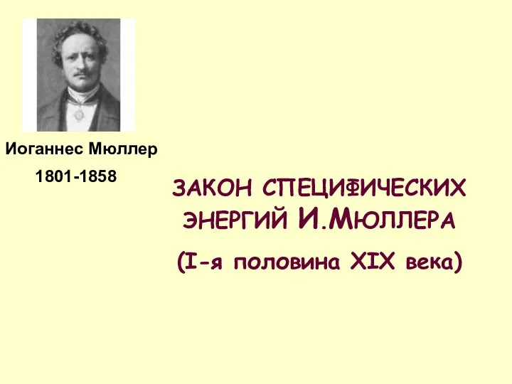 ЗАКОН СПЕЦИФИЧЕСКИХ ЭНЕРГИЙ И.МЮЛЛЕРА (I-я половина XIX века) 1801-1858 Иоганнес Мюллер