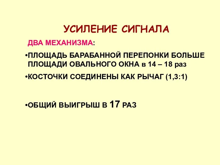 УСИЛЕНИЕ СИГНАЛА ДВА МЕХАНИЗМА: ПЛОЩАДЬ БАРАБАННОЙ ПЕРЕПОНКИ БОЛЬШЕ ПЛОЩАДИ ОВАЛЬНОГО ОКНА