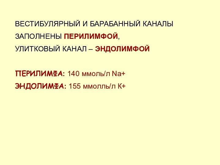 ВЕСТИБУЛЯРНЫЙ И БАРАБАННЫЙ КАНАЛЫ ЗАПОЛНЕНЫ ПЕРИЛИМФОЙ, УЛИТКОВЫЙ КАНАЛ – ЭНДОЛИМФОЙ ПЕРИЛИМФА: