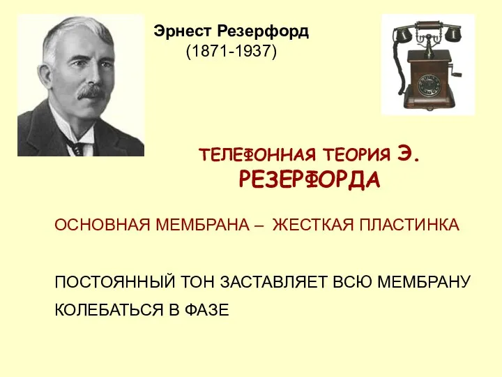 ТЕЛЕФОННАЯ ТЕОРИЯ Э.РЕЗЕРФОРДА ОСНОВНАЯ МЕМБРАНА – ЖЕСТКАЯ ПЛАСТИНКА ПОСТОЯННЫЙ ТОН ЗАСТАВЛЯЕТ