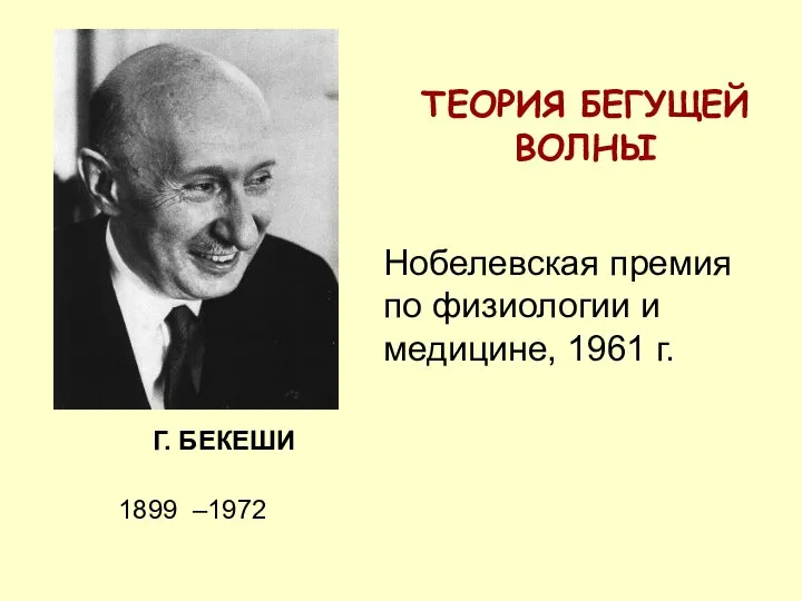 Г. БЕКЕШИ ТЕОРИЯ БЕГУЩЕЙ ВОЛНЫ Нобелевская премия по физиологии и медицине, 1961 г. 1899 –1972