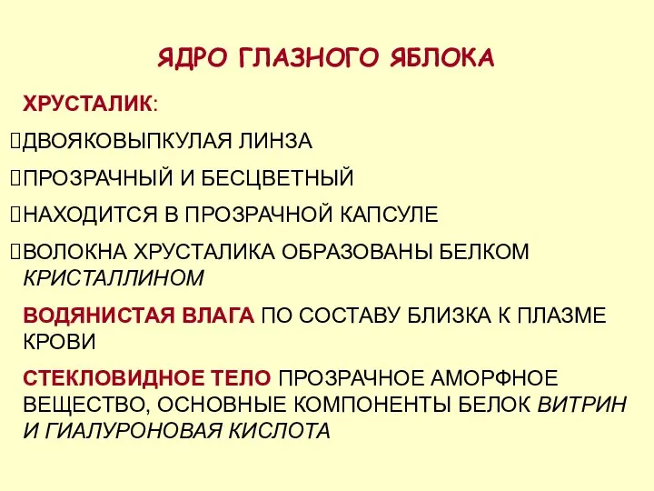 ЯДРО ГЛАЗНОГО ЯБЛОКА ХРУСТАЛИК: ДВОЯКОВЫПКУЛАЯ ЛИНЗА ПРОЗРАЧНЫЙ И БЕСЦВЕТНЫЙ НАХОДИТСЯ В