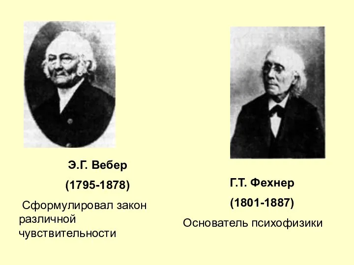 Г.Т. Фехнер (1801-1887) Основатель психофизики Э.Г. Вебер (1795-1878) Сформулировал закон различной чувствительности