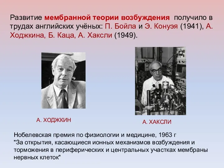 Развитие мембранной теории возбуждения получило в трудах английских учёных: П. Бойла