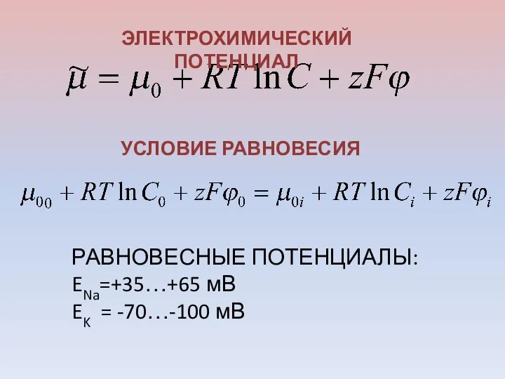 ЭЛЕКТРОХИМИЧЕСКИЙ ПОТЕНЦИАЛ УСЛОВИЕ РАВНОВЕСИЯ РАВНОВЕСНЫЕ ПОТЕНЦИАЛЫ: ENa=+35…+65 мВ EK = -70…-100 мВ