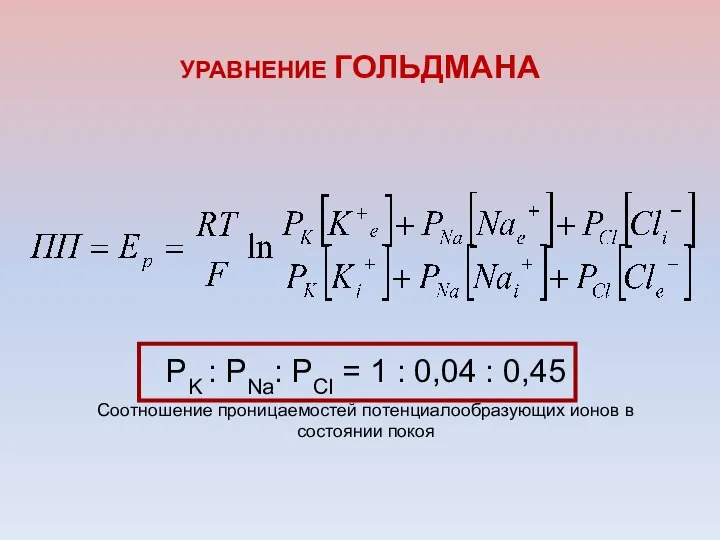 УРАВНЕНИЕ ГОЛЬДМАНА PK : PNa: PCl = 1 : 0,04 :